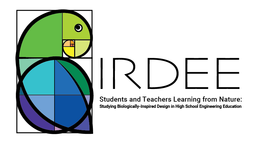 BIRDEE logo (colorful bird using the mathematical golden ratio)